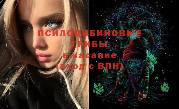 ECSTASY Алексеевка