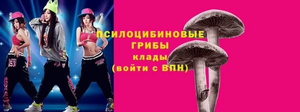 mix Алексин