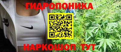 индика Краснознаменск