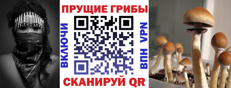 Псилоцибиновые грибы GOLDEN TEACHER  что такое   Коломна 